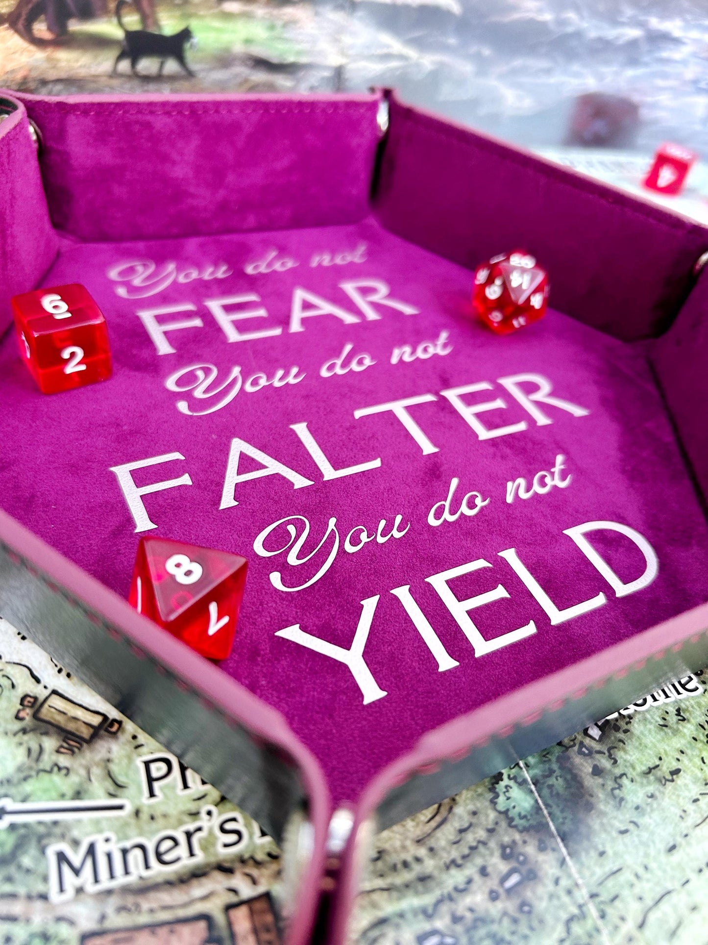 ACOTAR Series Quote Bookish Booktok DND RPG Dice Rolling Collapsible Tray